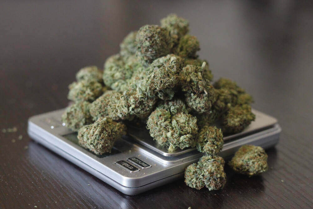 a pile of cannabis bud on a scale