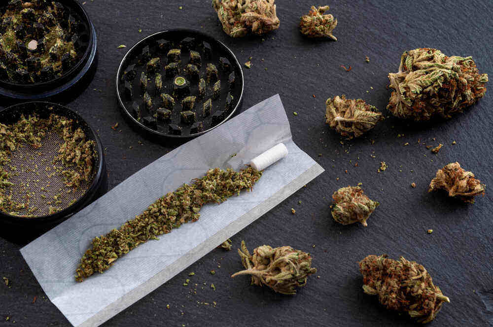 a rolling paper with marijuana buds on it next to a grinder