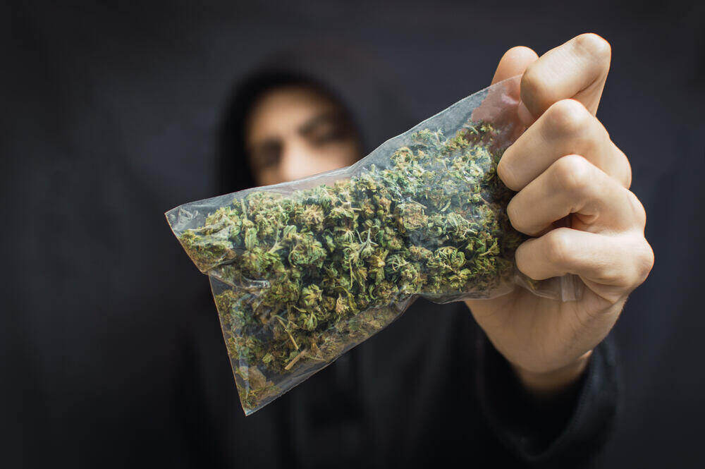 a hand holding a bag of cannabis