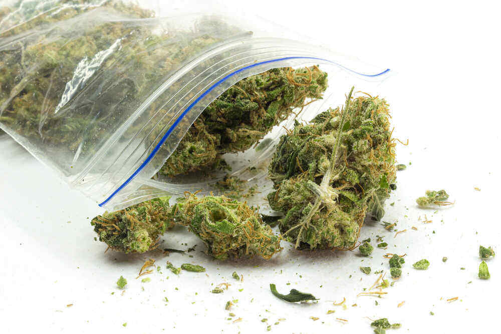 a bag of cannabis buds
