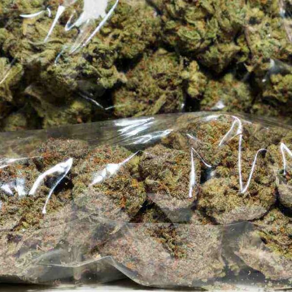 How much should a pound of weed cost you?