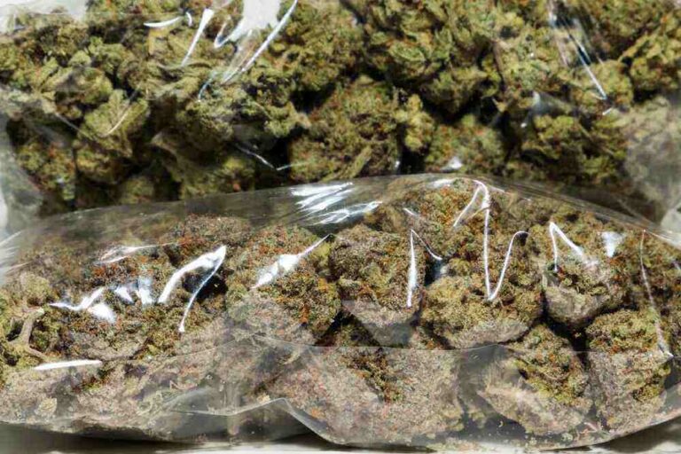 a bag of marijuana in front of a pile of marijuana