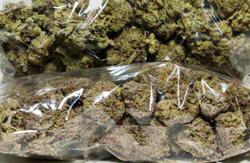 How much should a pound of weed cost you?