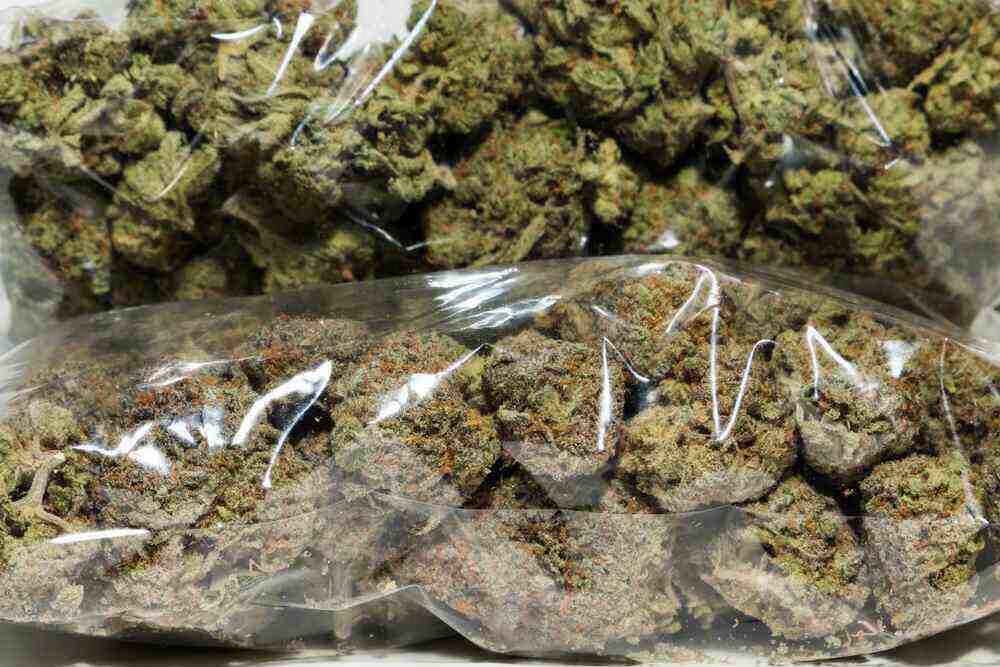 a bag of marijuana in front of a pile of marijuana
