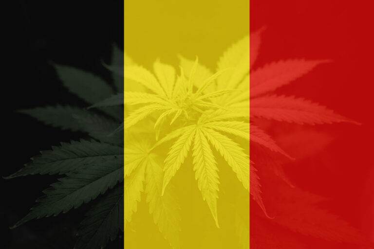 A Belgium flag with cannabis plant in background