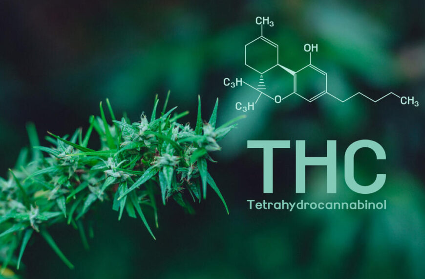 Are Autoflowers Less Potent?