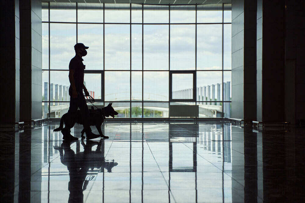 a custom officer with sniffer dog at airport