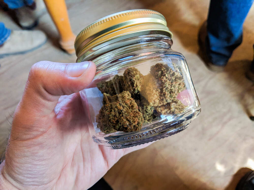 a persons hand holding mason jar with cannabis buds inside