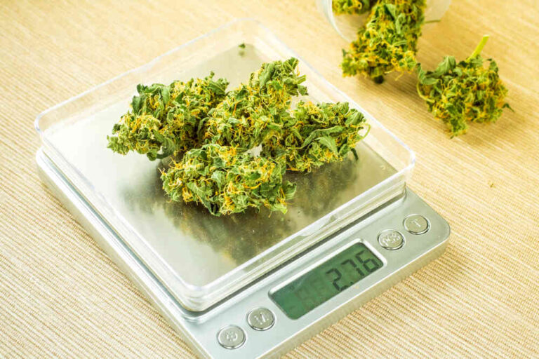 cannabis bud on electronic scale