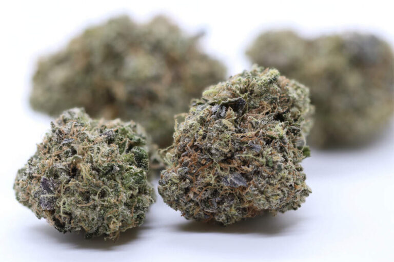 close up of four blue cannabis buds