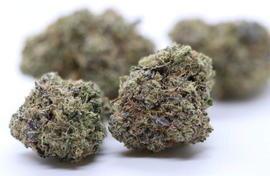 The best blue strains of weed