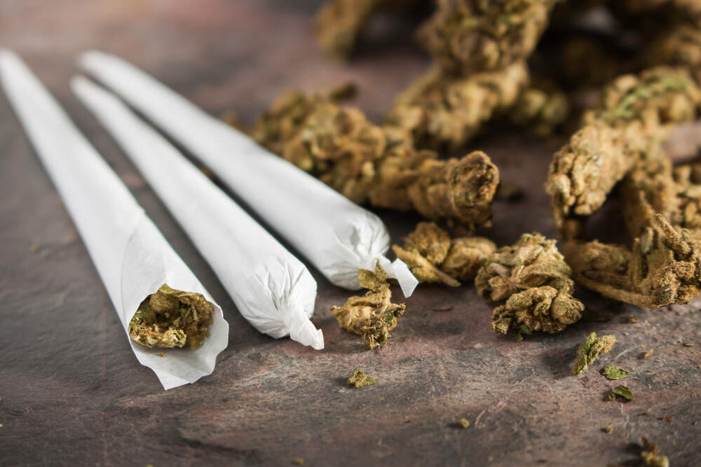 marijuana joints next to cannabis buds