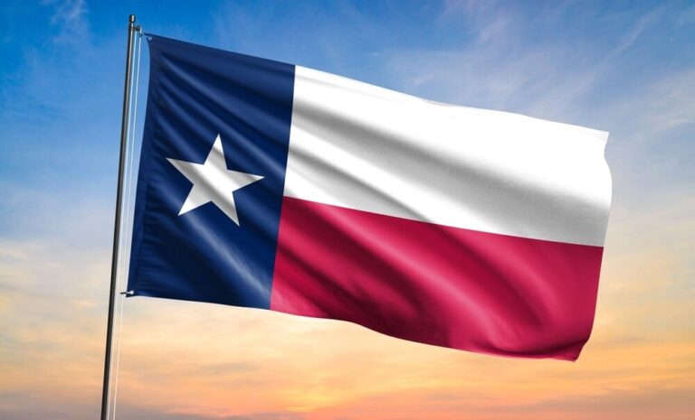 Texas Flag