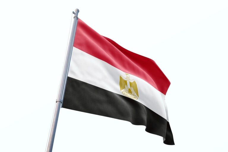 Egypt Flag on white background