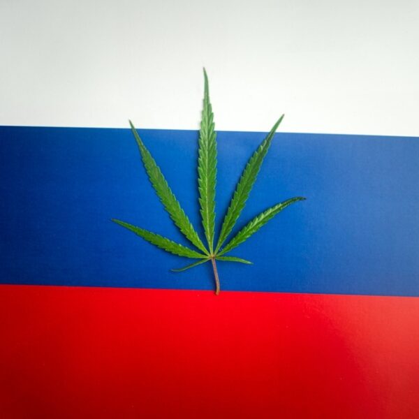 Is Weed Legal in Russia?