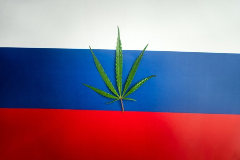 a cannabis leaf on top of a Russia Flag