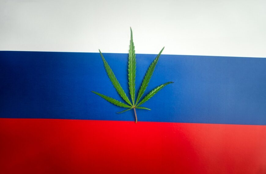 Is Weed Legal in Russia?