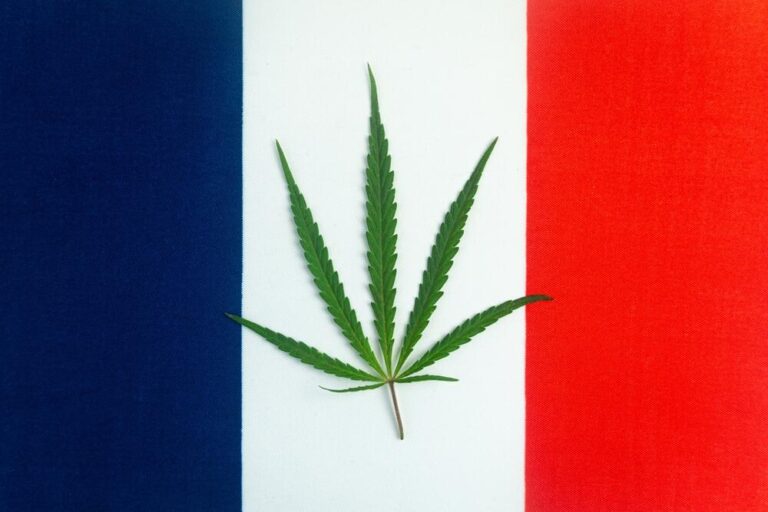 cannabis leaf on top of a France flag