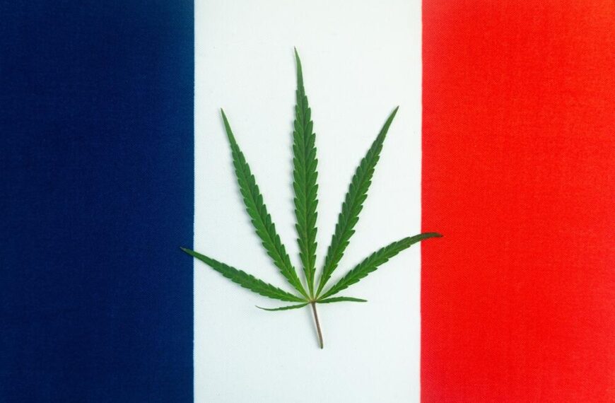 Is Weed Legal in Paris?