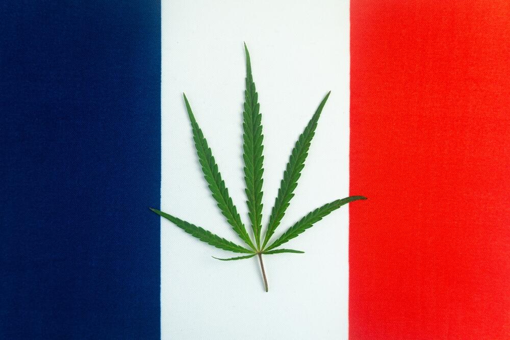 cannabis leaf on top of a France flag