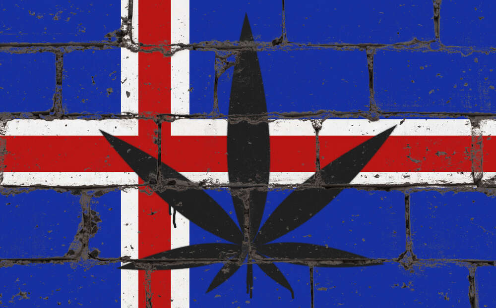 Graffti Art stencil of Cannabis leaf with Iceland flag in background