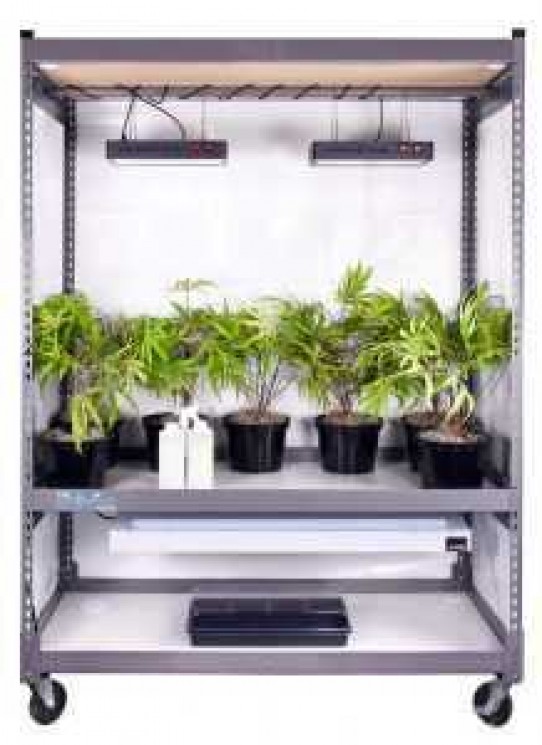 The Growing Rack: A Great New Way to Grow Marijuana Indoors