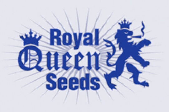 Royal queen seeds